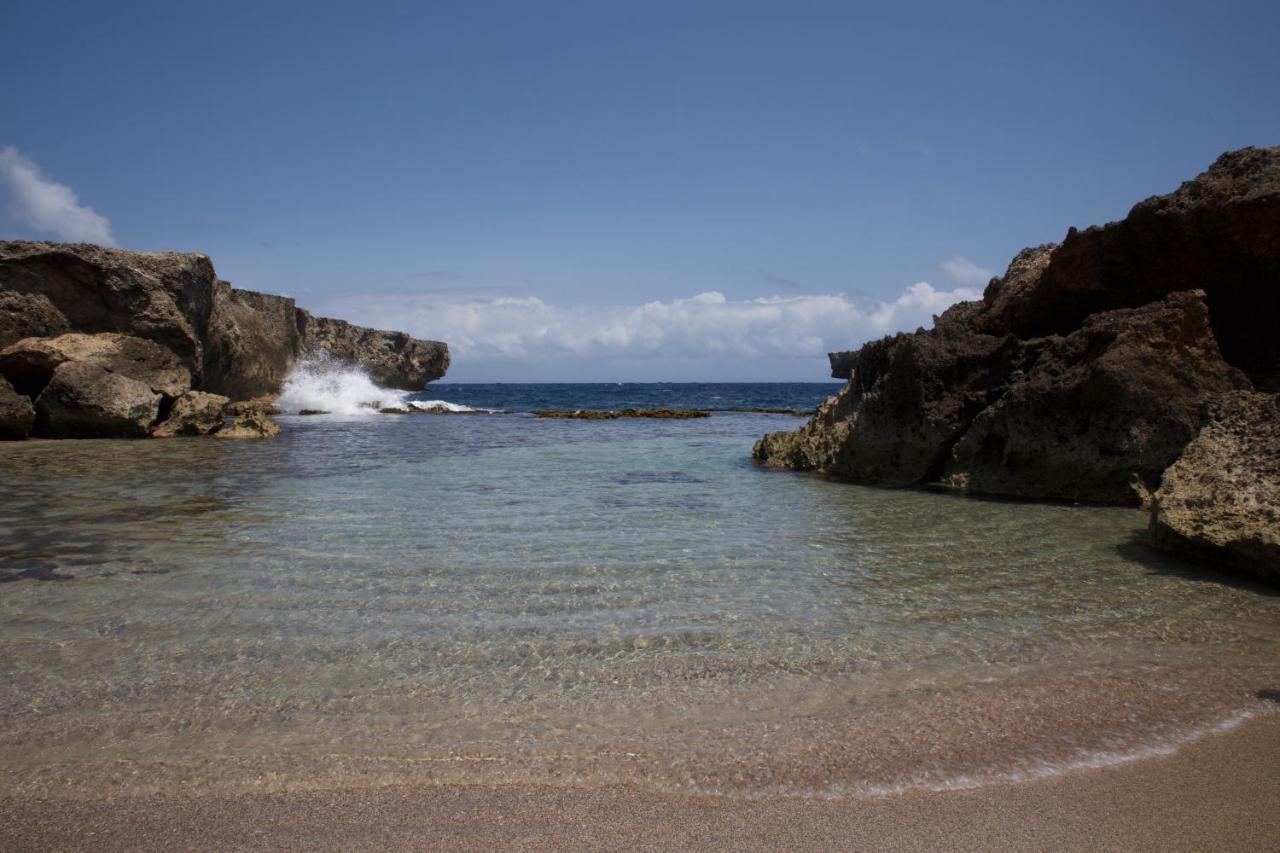 קרלנדיק Tropical Divers Resort מראה חיצוני תמונה